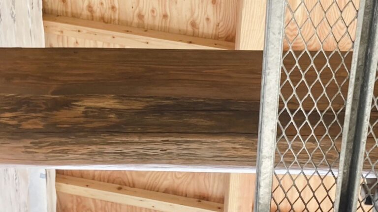 土間_小屋組塗装